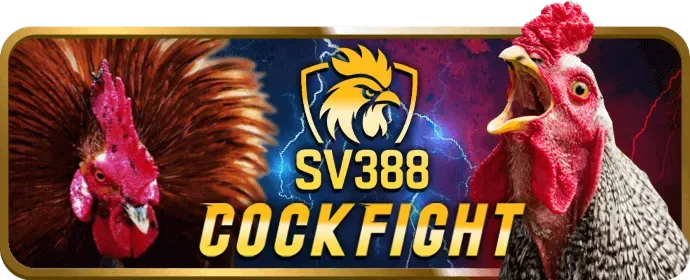 Nền tảng Bet88 an toàn và hỗ trợ khách hàng chuyên nghiệp